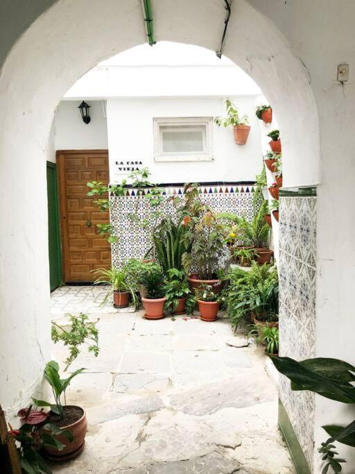 タリファCasa Perla Blanca - A Hidden Gem In The Old Townアパートメント エクステリア 写真